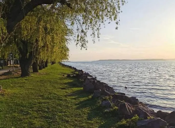 Balcsitthon Ezuestpart Daire